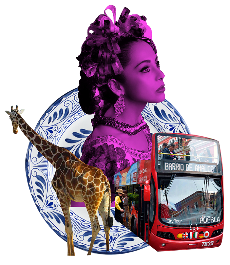 puebla vive